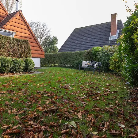 Holiday home Vogelsand 08 Dorumer Neufeld