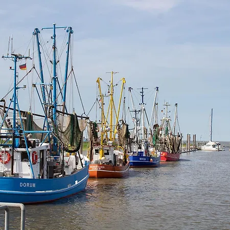 Vogelsand 08 * Dorumer Neufeld