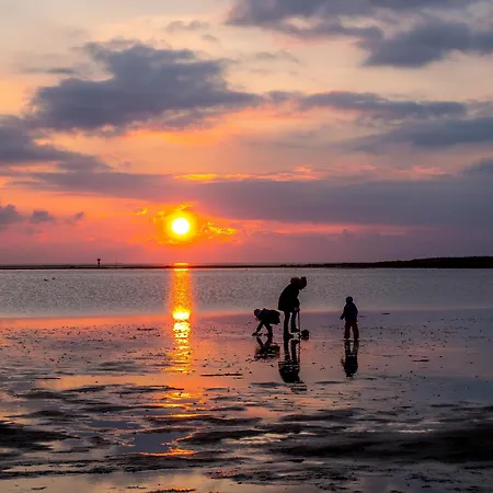 Vogelsand 08 * Dorumer Neufeld