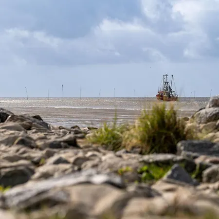 Vogelsand 08 Casa de Férias