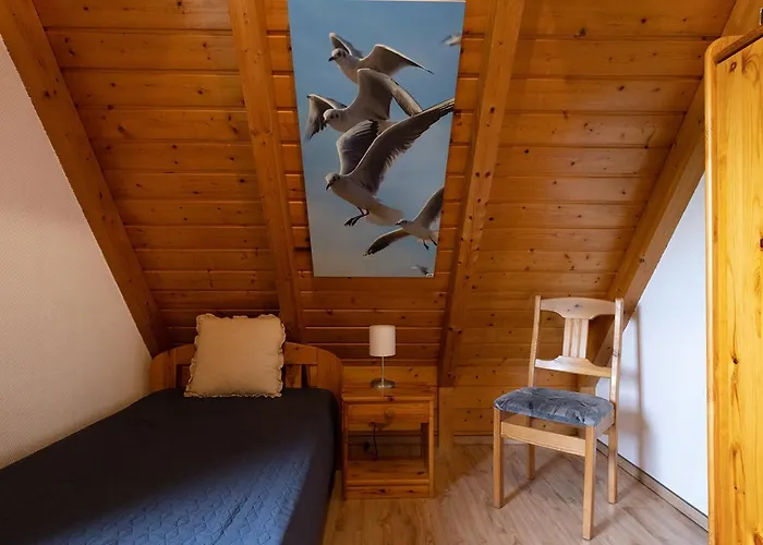 Vogelsand 08 دورم نيوفيلد