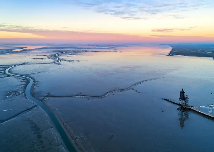 Vogelsand 08 دورم نيوفيلد