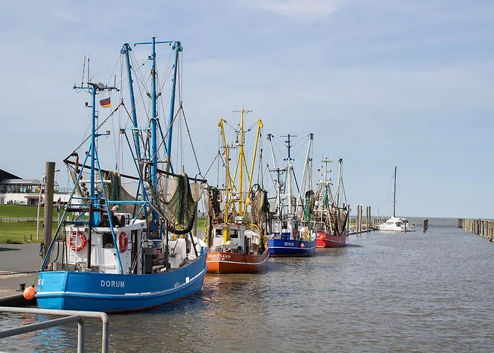 Vogelsand 08 * دورم نيوفيلد