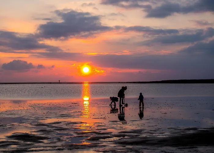 Vogelsand 08 * دورم نيوفيلد