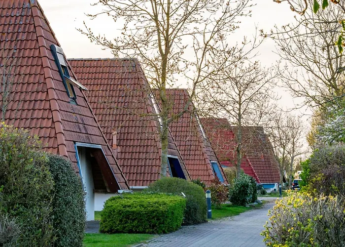 Vogelsand 08 * دورم نيوفيلد