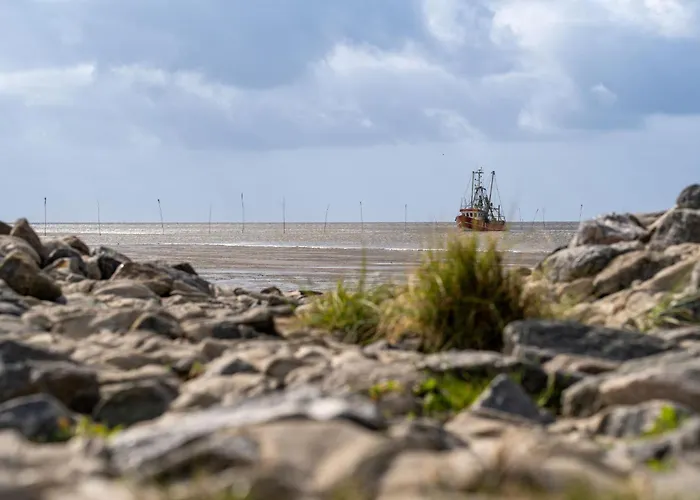 Vogelsand 08 بيت للعطل